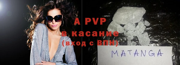 гидра Кодинск