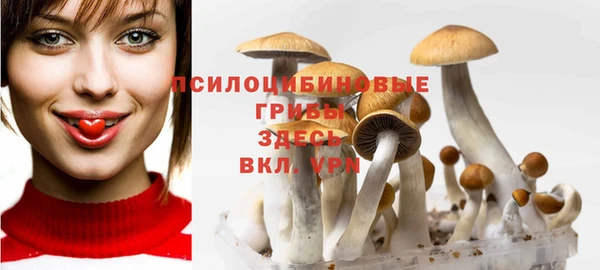соль ск Корсаков