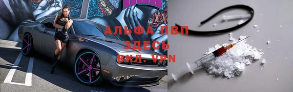гидра Кодинск