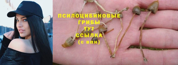 соль ск Корсаков