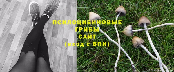 трава Костерёво