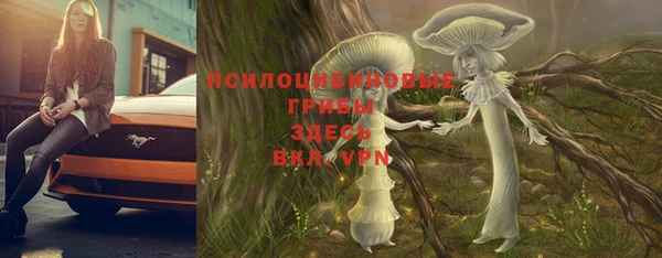 соль ск Корсаков
