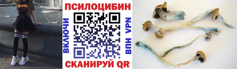 Галлюциногенные грибы Magic Shrooms  Купить где  Губаха 